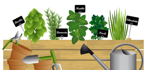 Illustration vectorielle de plantation d’herbes aromatiques dans une caisse en bois - texte français, © ID-EasyDoor