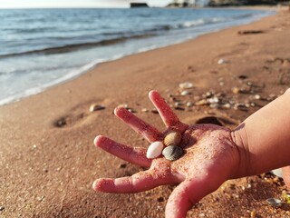 hand on the beach