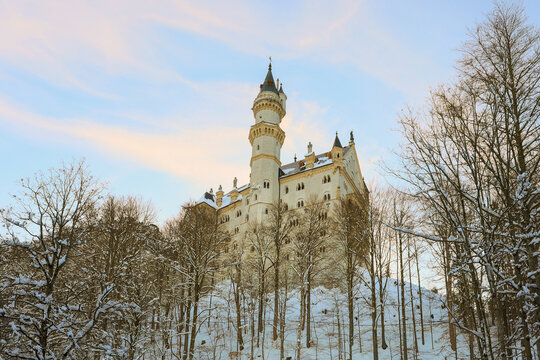 castle in the snow