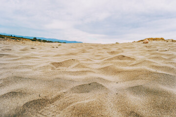 Lonely dunes in the Ebro delta, Tarragona, Spain.