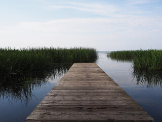 A long wooden bridge leading into the lake and surrounded by thickets of reeds.