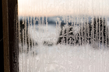 Eisblumen am Fenster