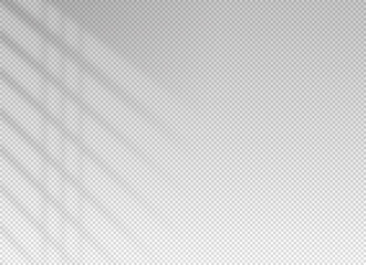 Shadow blinds. Sun light from window. Overlay effect. Shade jalousie transparent. Isolated background. Window blind. Reflection shadows on wall. Realistic soft shade. Horizontal shading mockup. Vector