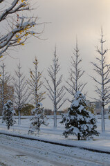 雪道の風景