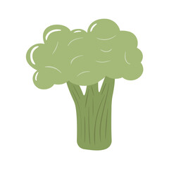 Broccoli colorful vector illustration isolated on white background. Hand drawn style, cute doodle art. Agricultural concept. Vegetables for gardening. Healthy diet.