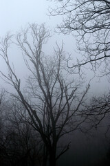 Urban park in a winter day