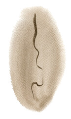 Watercolor abstract hand drawn illustration with a sepia textured shape, an umbra flake. Sepia and umbra picture on the white background, portrait orientation.