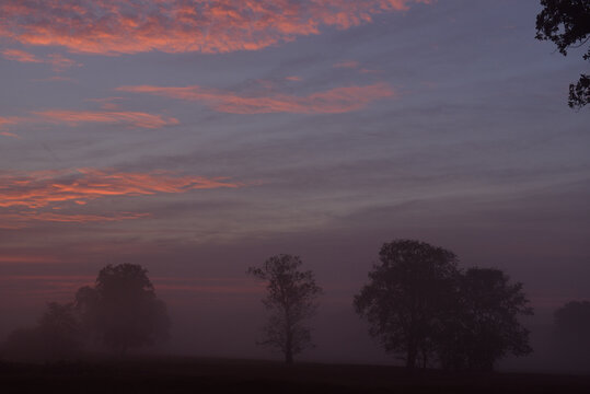 Landscape of meadow with trees in the fog at sunrise in Czmoniec, Poland