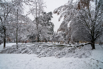 Milan, Italy - December 28 , 2020:  view of 