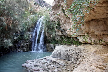 Waterfall in national park Ein Gedi near the Dead Sea in Israel
