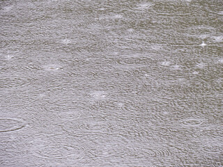 Lluvia sobre un charco en Madrid, España. Ondas circulares generadas sobre la superficie del agua al caer las gotas de lluvia.