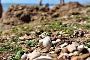 Ukraine Odesa sea sun beach shore rest travel stones pebbles water 