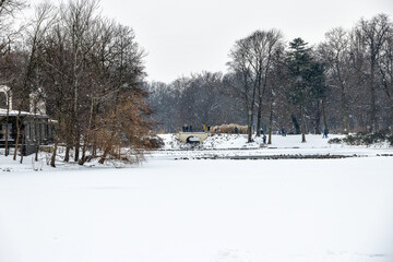 Fototapeta na wymiar park Łazienki Królewskie in Warsaw Poland on a snowy winter day