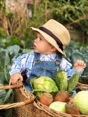 The child is a little farmer. Farm assistant.