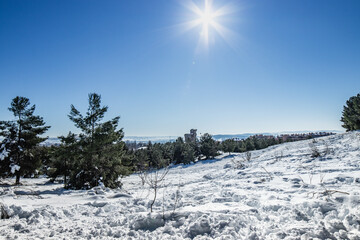 Montaña nevada con sol y arboles