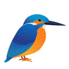 Kingfisher bird isolated vector