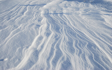 Snow cover on the bank of the Irtysh River