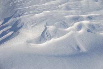 Snow cover on the bank of the Irtysh River