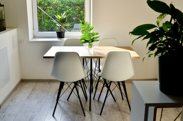 Contemporary studio apartment with kitchen open to living room. Scandinavian style interior