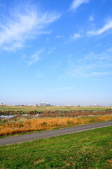 Obraz premium 秋のサイクリング道路のある江戸川土手風景