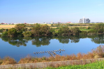 土手から見る秋の江戸川風景