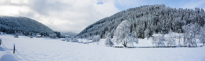 Paysage d'hiver vosgien, lieu-dit Le Rudlin, dans la vallée de la Haute-Meurthe, Vosges, France
