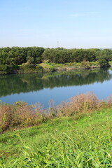 Fototapeta premium 土手から見る秋の江戸川風景