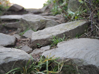 autumn afternoon in the woods near the ruins of an old stone castle, sunny cold day, wild nature, adventure trip, travel