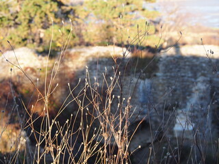 autumn afternoon in the woods near the ruins of an old stone castle, sunny cold day, wild nature, adventure trip, travel