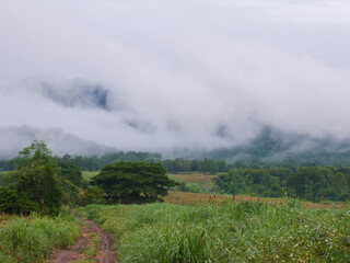 Beautiful fog landscape in the mountains