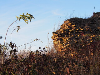 autumn afternoon in the woods near the ruins of an old stone castle, sunny cold day, wild nature, adventure trip, travel