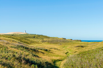 Die Küstenlandschaft an der Jammerbucht in Dänemark. Im Hintergrund der Leuchtturm von Rubjerg Knude.