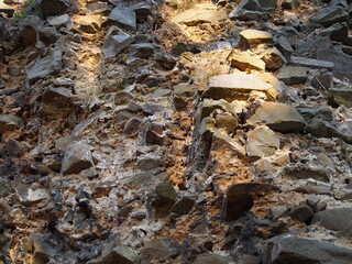 autumn afternoon in the woods near the ruins of an old stone castle, sunny cold day, wild nature, adventure trip, travel