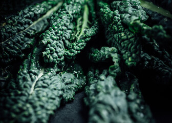 close-up of just harvest kale, view of fresh leaves. Green raw cabbage detail. Organic vegetable, natural ingredient for healthy nutrition.