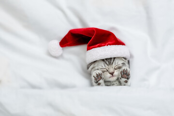 Funny kitten wearing red santa's hat sleeps under a white blanket on a bed. Top down view. Empty...