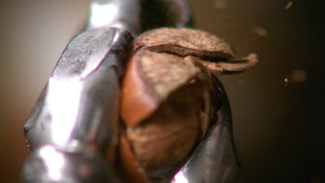 Hazelnut peel breaks in close and slow motion. Turkish hazelnut is broken with pliers.