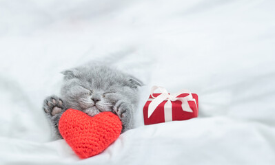 Cute kitten sleeps with red heart and gift box on a bed under white blanket. Valentines day...
