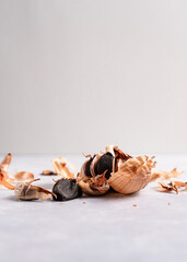 Black garlic on grey background