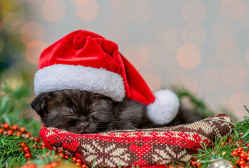 Fototapeta na wymiar Black kitten wearing red santa hat sleeps on festive background with christmas tree