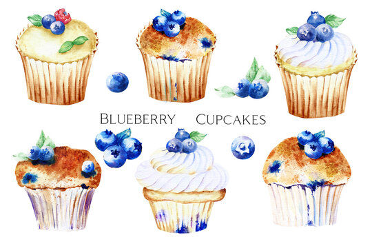 Watercolor blueberry cupcakes,  Birthday dessert watercolour, bluberry muffin for kids party, menu, caffe