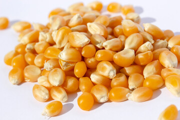 Corn kernels on a white background