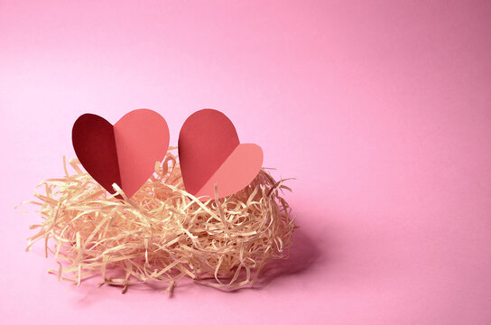 nest with two paper hearts