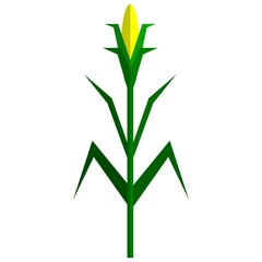 Fototapeta na wymiar Corn plant icon, flat vector isolated illustration. Sweet maize, cereal grain.