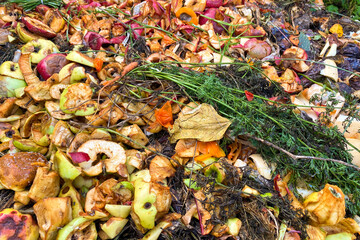 Composting at home concept - background made with food waste and vegetable leftovers into garden...