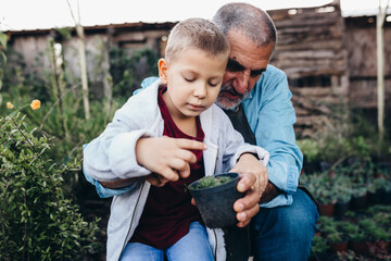 Fototapeta premium grandfather and grandson enjoying time together outdoors in family plant nursery