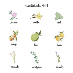 set of essential oil plant icons,  cosmetics, spa, aromatherapy, homeopathy, Ayurveda. Jasmine, mint, vanilla, orange, lemon, chamomile, lavender, eucalyptus,  Modern, hand drawn, vector illustration