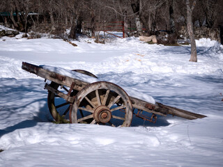 Wood cart lying in the snow.