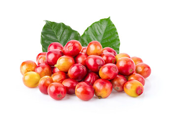 fresh coffee beans on white background