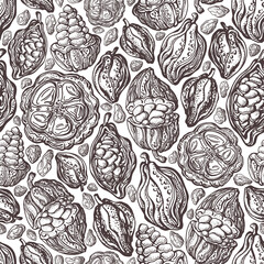 Cacao bean seamless pattern. Vector exotic fruit