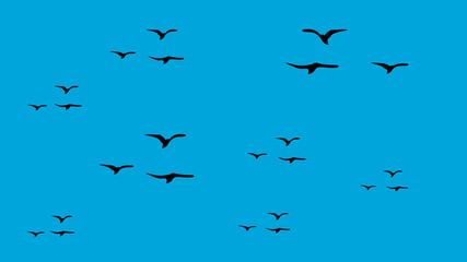 Comic blue sky with flock of flying birds illustration.